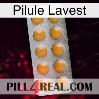 Lavest Pill levitra1